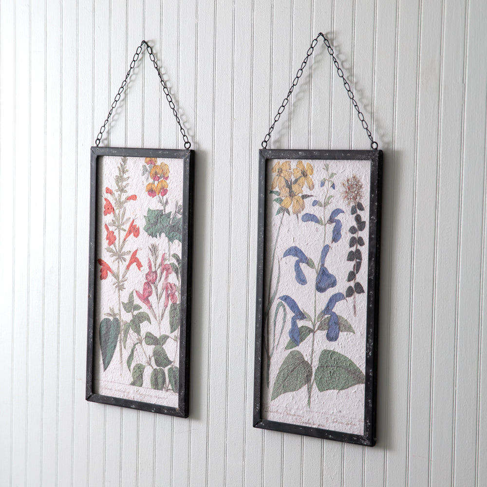 Perennial Botanical Framed Print Set
