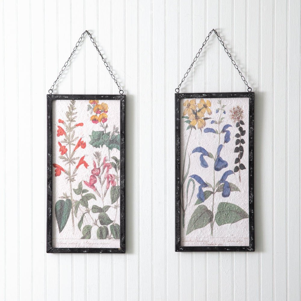 Perennial Botanical Framed Print Set