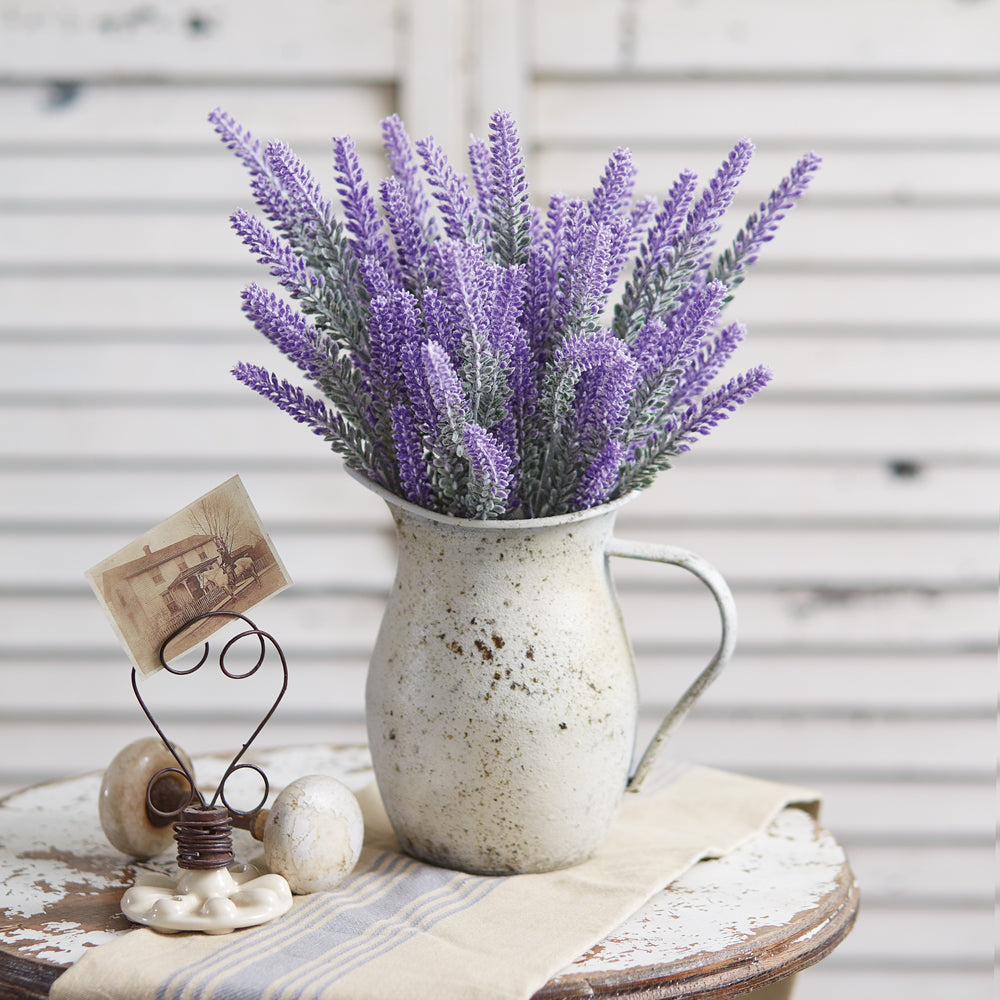 Lavender Bush Box of Two