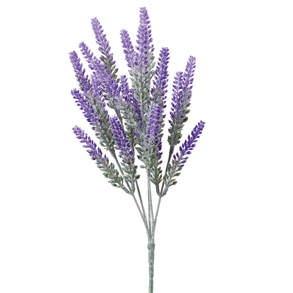 Lavender Bush Box of Two