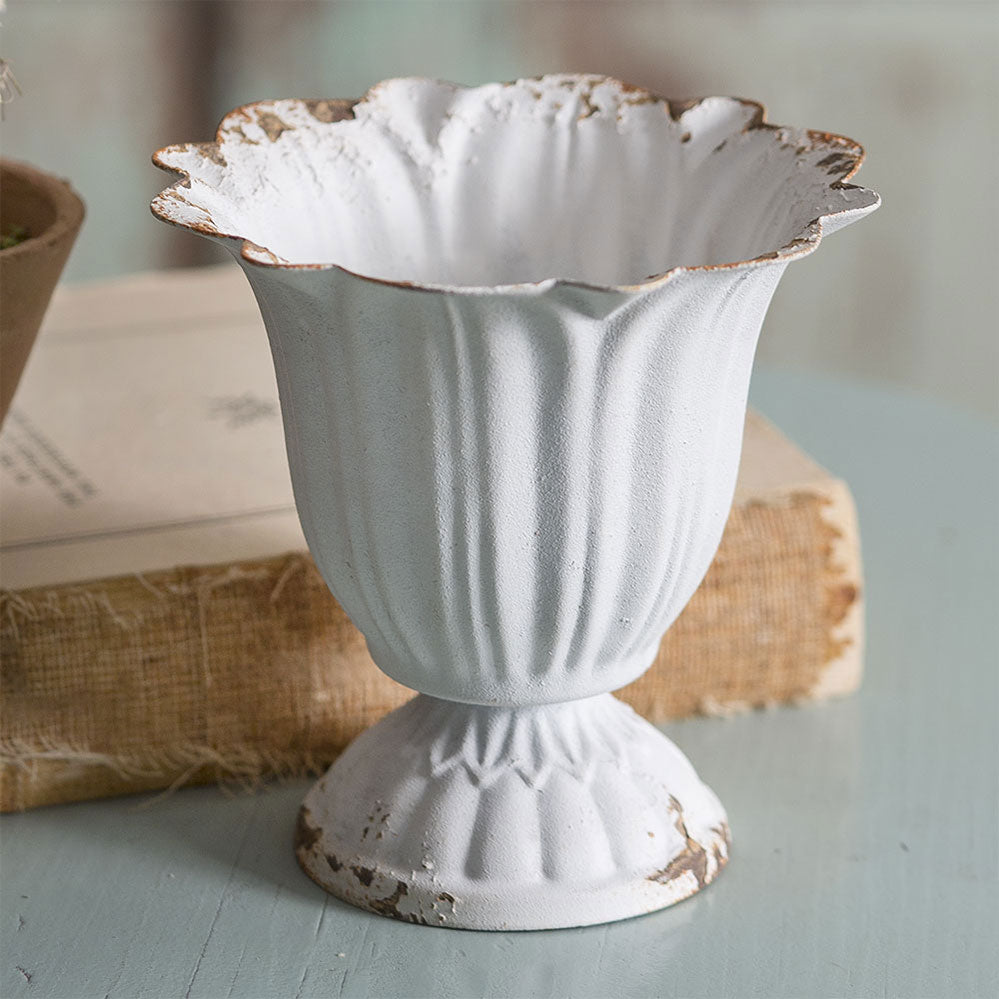 Small Scalloped Cup Vase Bow of Four