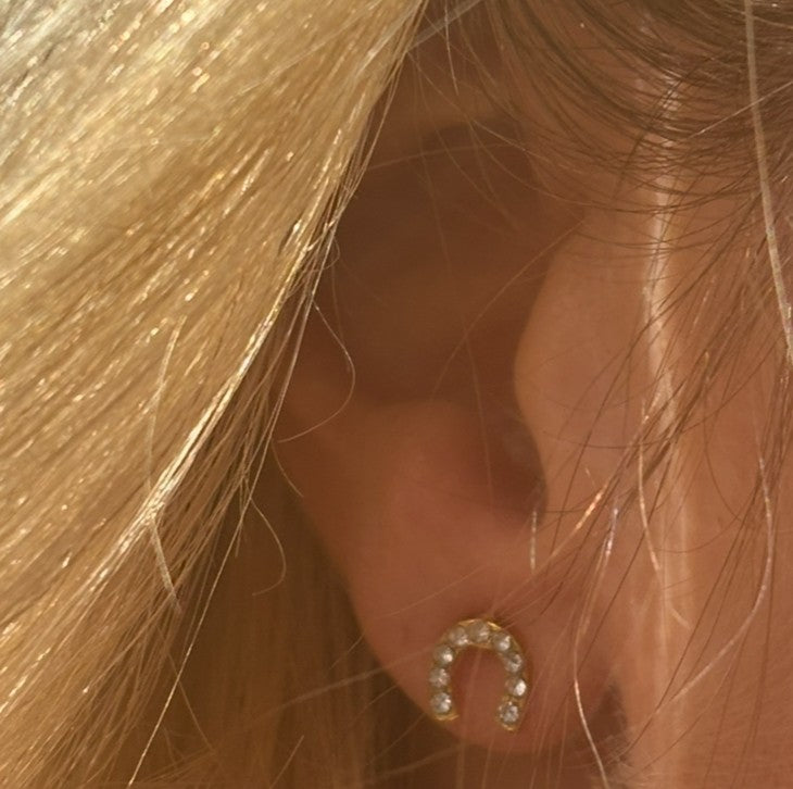 Horseshoe Shaped Zirconia Earrings