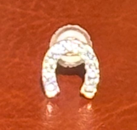 Horseshoe Shaped Zirconia Earrings