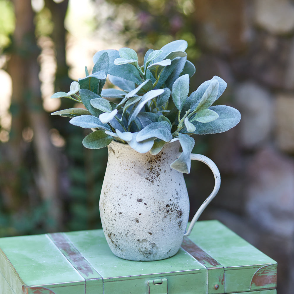 Lambs Ear Stem Box of Four