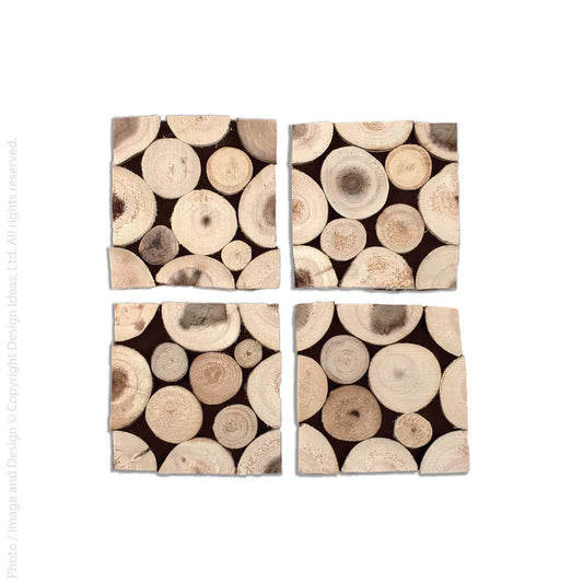 Branch Coasters Set of 4